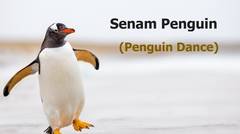 Senam Penguin (The Penguin Dance) Lucu