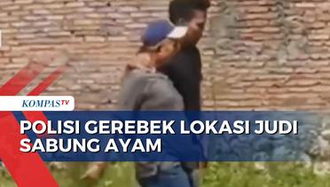 Polisi Gerebek Lokasi Judi Sabung Ayam di Grobogan, 9 Orang Ditangkap