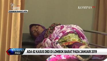 Ada 62 Kasus DBD di Lombok Barat Pada Januari 2019