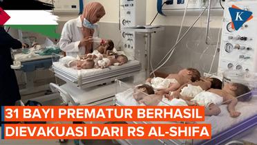 31 Bayi Prematur Dievakuasi dari RS Al-Shifa