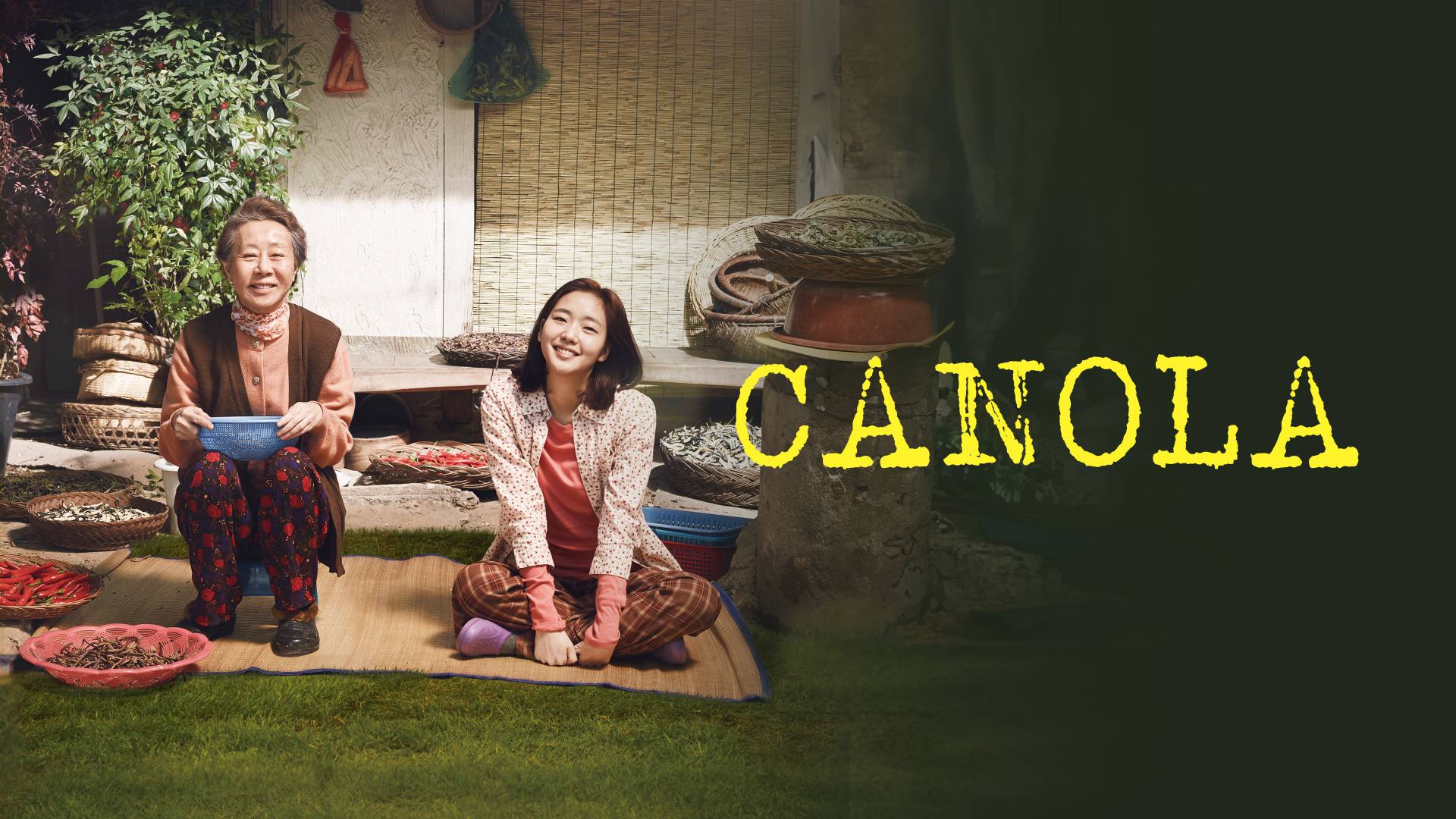 Canola