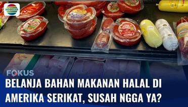 Keseruan Belanja di Halal Internasional di North Carolina, Ada Bahan Makanan dari Indonesia! | Fokus