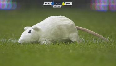Mainan Berbentuk Tikus Sempat Ganggu Laga Final Piala Denmark