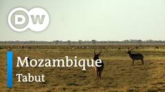DW Going Wild 05 - Mozambique_Tabut