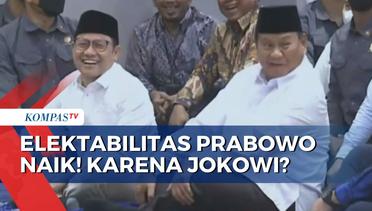 Zulhas Sebut Elektabilitas Prabowo Naik Usai Diajak Keliling Daerah oleh Presiden Jokowi! Benarkah?