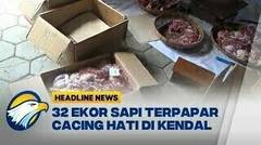 Puluhan Ekor Sapi di Kendal Terpapar Cacing Hati