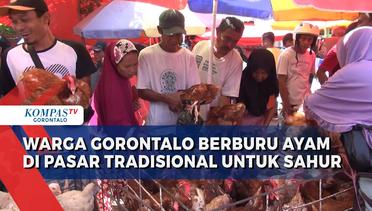Tradisi Tahunan Warga Gorontalo Berburu Ayam Untuk Sahur Pertama