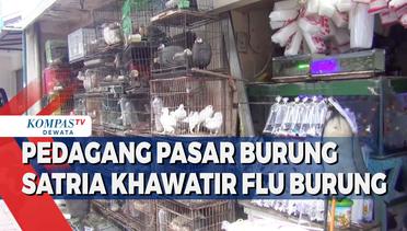 Pedagang Di Pasar Burung Satria Khawatir Isu Flu Burung