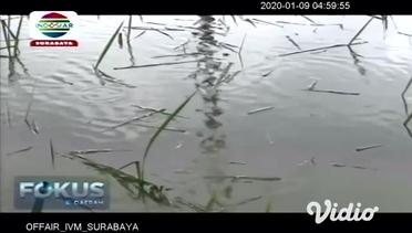Tanggul Sungai Jebol, Puluhan Hektar Tanaman Padi Terendam. Bojonegoro, Jawa Timur