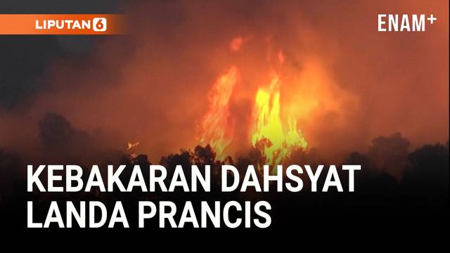 Kebakaran Dahsyat Landa Prancis, Lebih Luas Dari Kota Paris