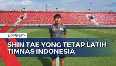 Shin Tae Yong Tetap Latih Timnas Indonesia