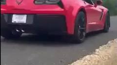 This driver destroys his new Corvette on a straight line ... Rate
