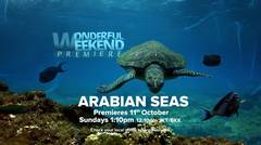 Arabian Seas - Love Nature