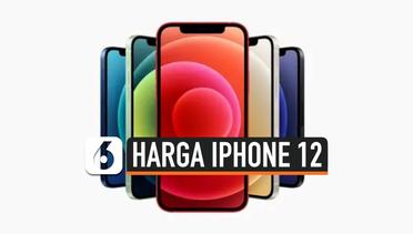 Catat, Harga iPhone 12 yang Resmi Dijual di Indonesia