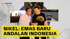 Nikel: Emas Baru Andalan Indonesia. Tapi Aman Gak buat Lingkungan?