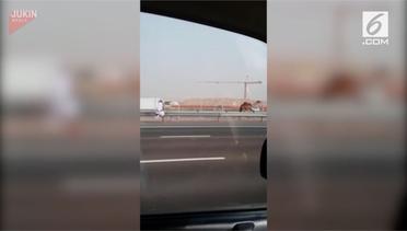 Rekaman Pria Kejar Unta yang Lepas di Jalan Tol