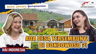 Mirip Pulau JEJU?! Inikah Keindahan Tersembunyi di Desa Jampit Bondowoso?? | Hai Indonesia