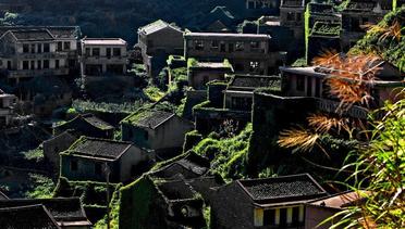 Penampakan Kampung Nelayan di Cina yang ’Ditelan’ Rumput Liar