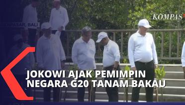 Jokowi Ajak Joe Biden dan Pemimpin Negara Peserta G20 Tanam Mangrove
