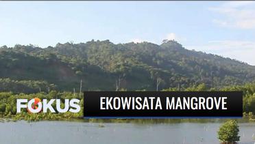 Baru Dibuka, Ekowisata Mangrove Aceh Jaya Jadi Daya Tarik Warga | Fokus