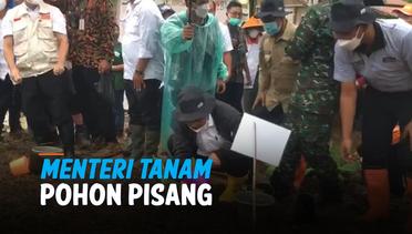 Aksi Menkop UKM dan Menteri ATR/BPN Tanam Pohon Pisang di Sukabumi