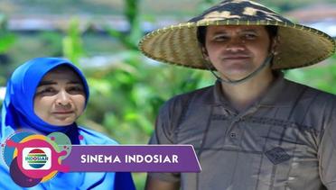 Sinema Indosiar - Kisah Tukang Kebun Yang Sukses Jadi Pemilik Kontrakan