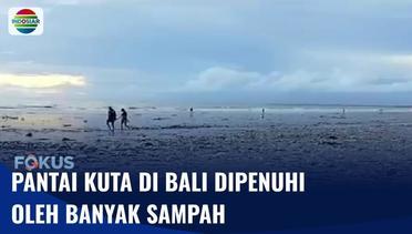 Wisatawan Terganggu karena Pantai Kuta di Bali Dipenuhi oleh Sampah | Fokus