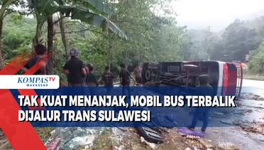 Tak Kuat Menanjak, Mobil Bus Terbalik Dijalur Trans Sulawesi