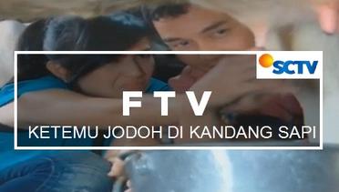 FTV SCTV - Ketemu Jodoh di Kandang Sapi