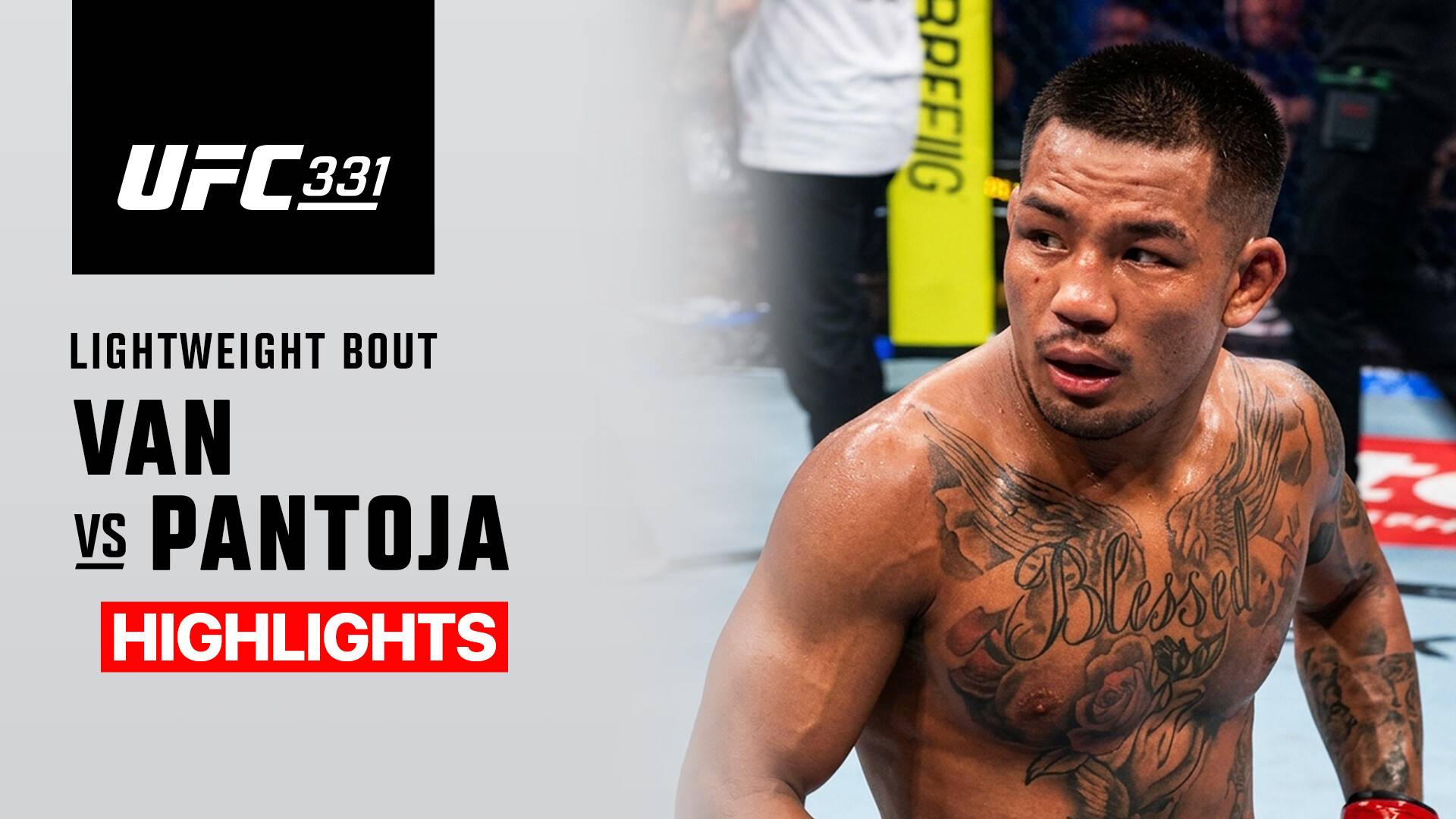 Joshua Van vs Alexandre Pantoja - UFC Flyweight Championship | UFC 331