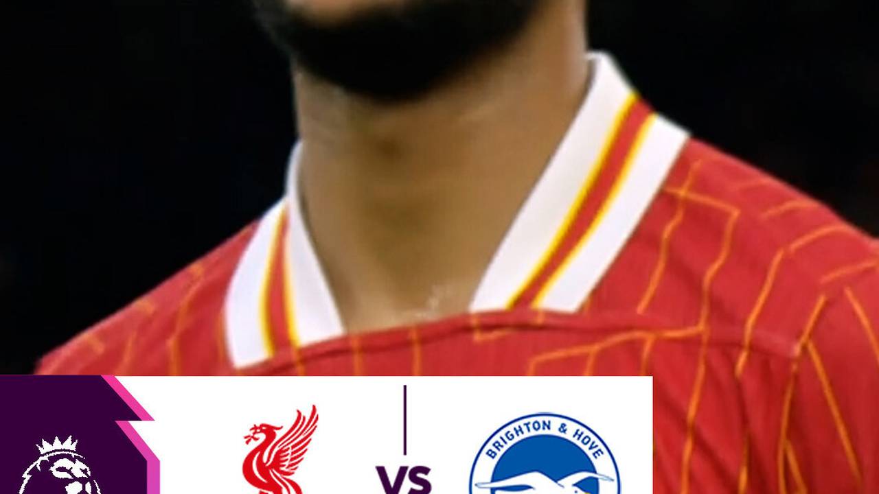 Liverpool vs Brighton Highlights Premier League 2024/25 Shorts