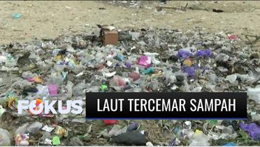 Pantai Utara Tuban Tercemar Akibat Warga Kebiasaan Buang Sampah Sembarangan | Fokus