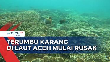 Terumbu Karang di Laut Kota Banda Aceh dan Aceh Besar Mulai Rusak