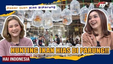 Pasar Ikan Hias Terpopuler di Parung Bogor! Sampai Dilirik Media Internasional?! | Hai Indonesia