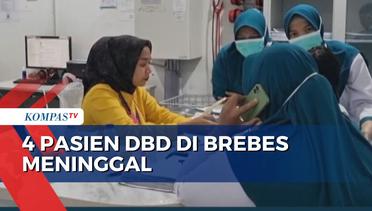 Penderita DBD di Brebes Capai 446, 4 di Antaranya Meninggal Dunia di RS