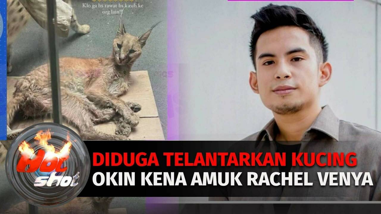 Mantan Suami Rachel Venya Diduga Tak Merawat Kucing Dengan Baik | Hot