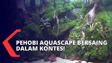 Para Pehobi Adu Keterampilan Mempercantik Aquarium di Kontes Aquascape!