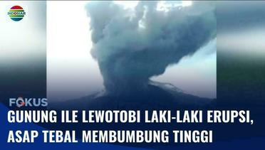 Gunung Ile Lewotobi Laki-Laki di Flores Erupsi, 5 Desa Terdampak Semburan Abu Vulkanik | Fokus