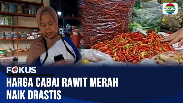 Jelang Akhir Tahun, Harga Cabai Rawit Melambung Hingga Rp90 Ribu per Kilogram | Fokus