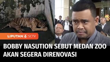 Banyak Satwa Mati dan Sakit di Medan Zoo, Ini Tanggapan Wali Kota Bobby Nasution | Liputan 6