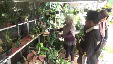 Trailer Cuan Puluhan Juta Kampung Flora | Berani Berubah Eps 179