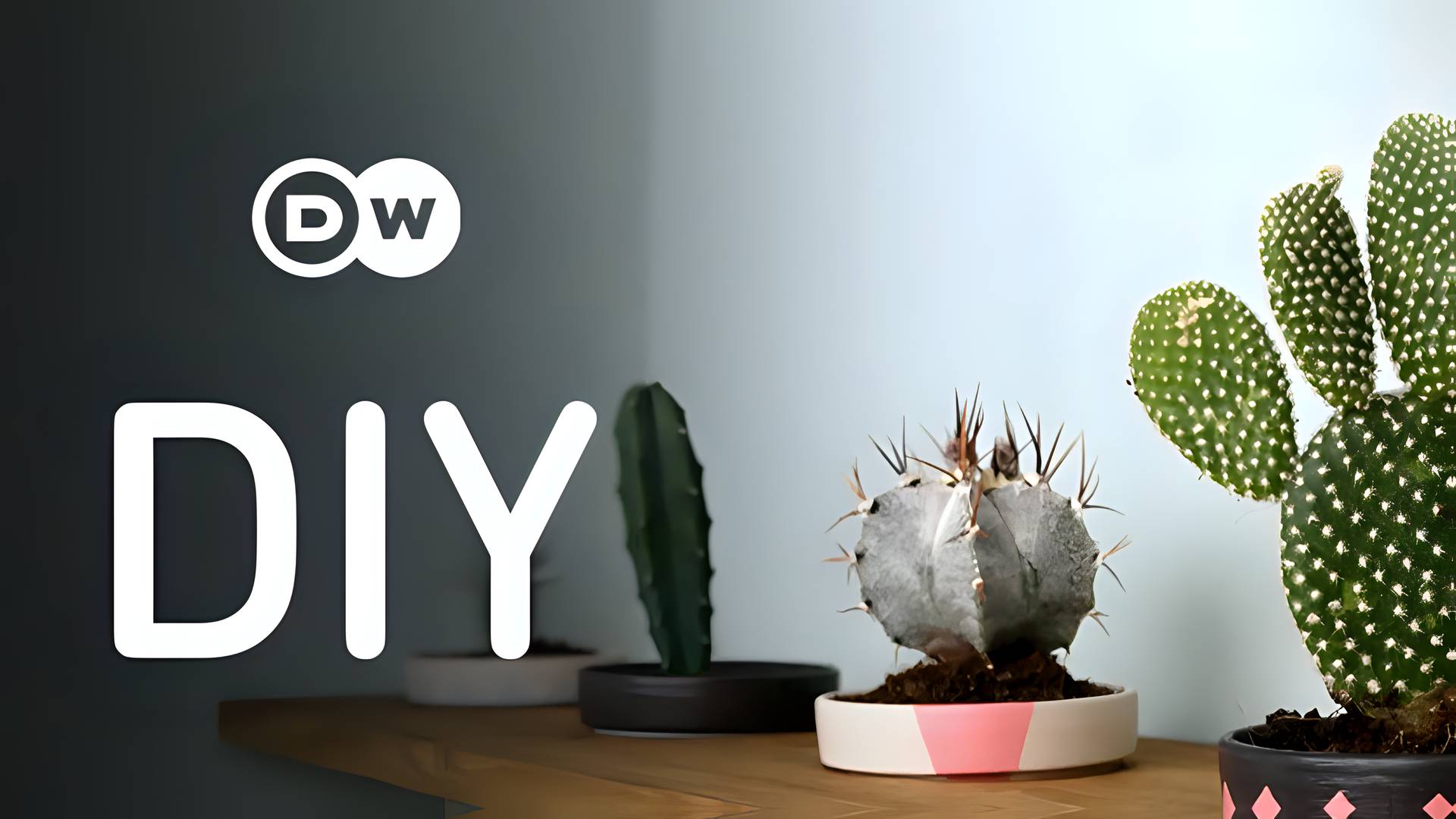 DW - DIY