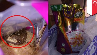 Ditemukan tikus dalam karung beras dari supermarket - TomoNews