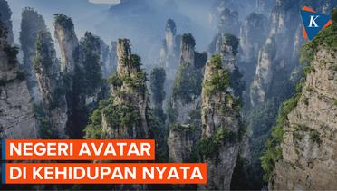 Indahnya Panorama Pegunungan Avatar
