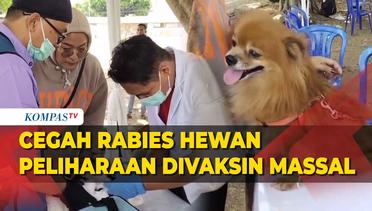 Cegah Rabies, Hewan Peliharaan di Garut Divaksin Massal