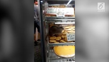 Beredar Video Tikus Berkeliaran di Toko Roti 