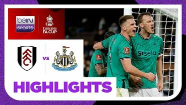 Fulham vs Newcastle - Highlights | FA Cup 2023/24