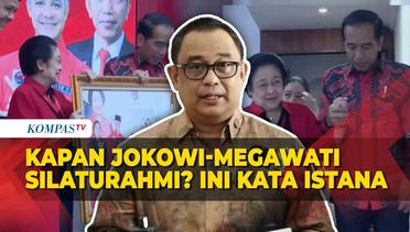 Kata Istana soal Rencana Silaturahmi Jokowi-Megawati