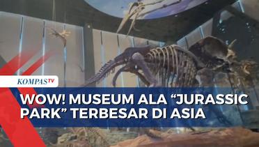 Yuk, Jelajah Sambil Belajar Proses Evolusi Manusia di Museum Ala Jurassic Park Tiongkok