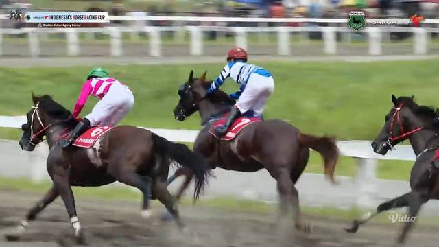 Race Replay Kelas Terbuka Sprint 2000 Indonesia's Horse Racing Cup 2025 | Indonesia Horse Racing 2025